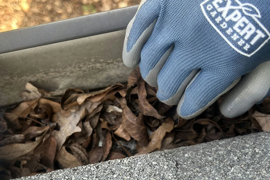 Sugar Land Gutter Cleaning