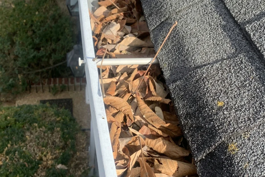 Sugar Land Gutter Cleaning