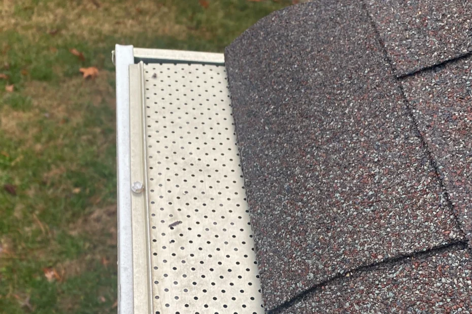 Sugar Land Gutter Cleaning
