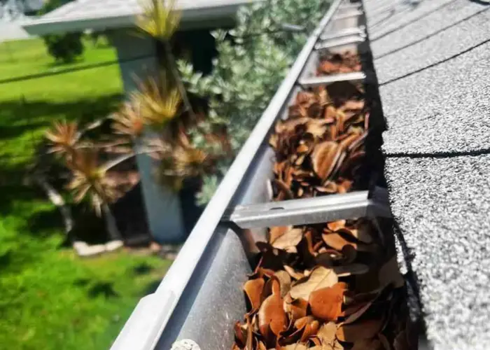 Sugar Land gutter cleaning home page